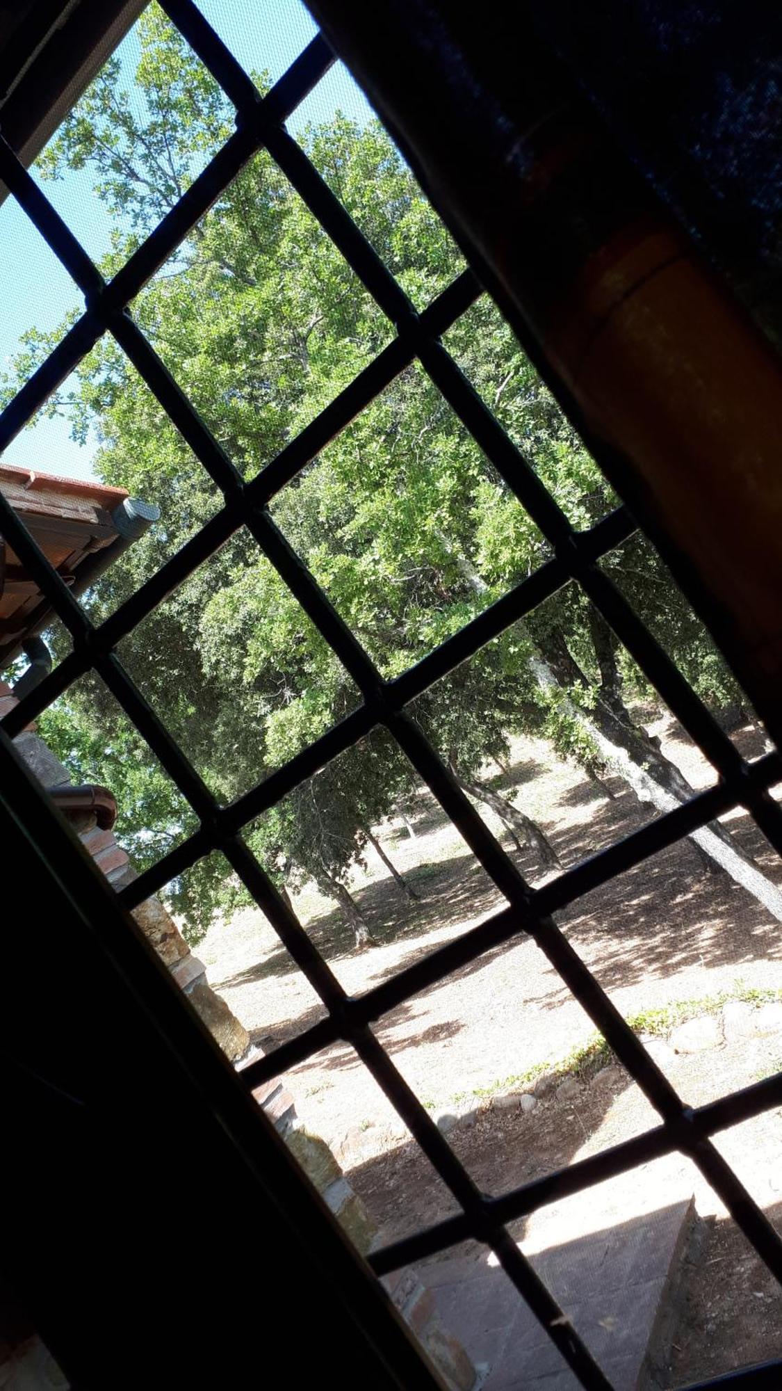 Agriturismo Podere San Lorenzo 1866 Massa Marittima Luaran gambar