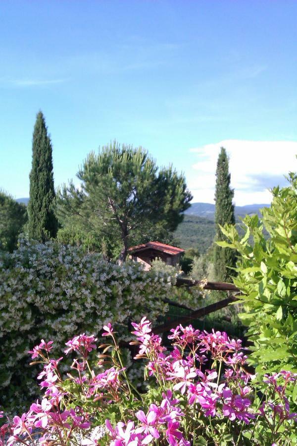 Agriturismo Podere San Lorenzo 1866 Massa Marittima Luaran gambar