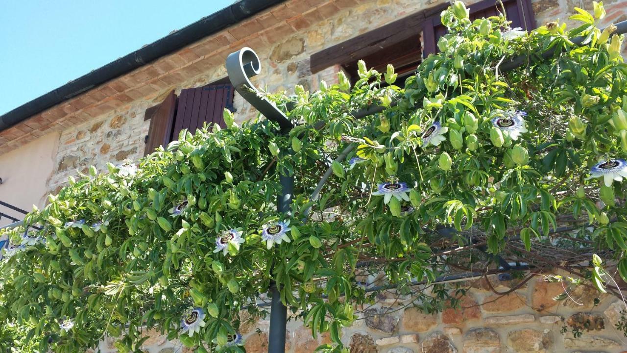 Agriturismo Podere San Lorenzo 1866 Massa Marittima Luaran gambar